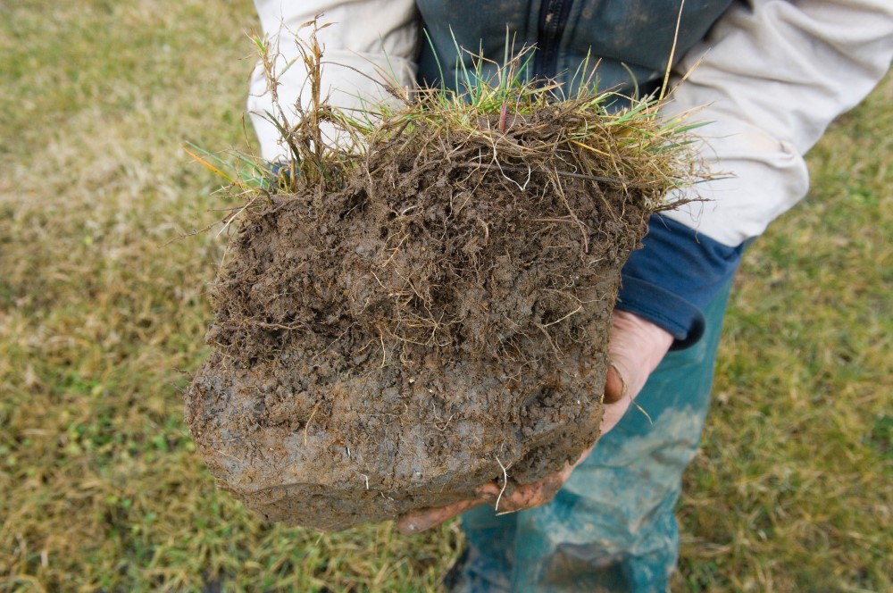 Block of grassland clay soil showing compression in lower half